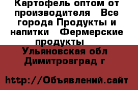 Картофель оптом от производителя - Все города Продукты и напитки » Фермерские продукты   . Ульяновская обл.,Димитровград г.